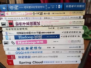 技術資產的雙重流通 論IT技術圖書與技術轉讓的協同價值