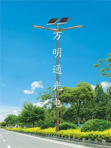 點亮綠色未來 德州萬明通光電引領太陽能照明新紀元